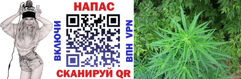 продажа наркотиков Фёдоровский MEGA ТОР Канабис семена
